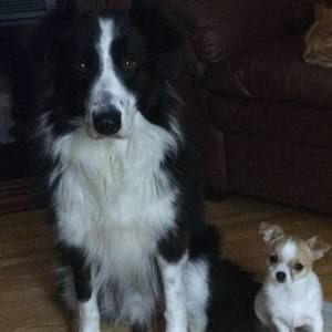 Meet your Posher, Johanne